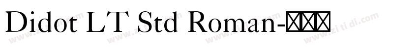 Didot LT Std Roman字体转换